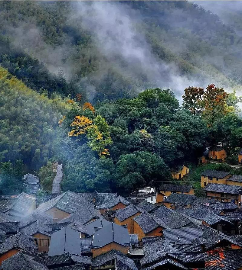 月光影视